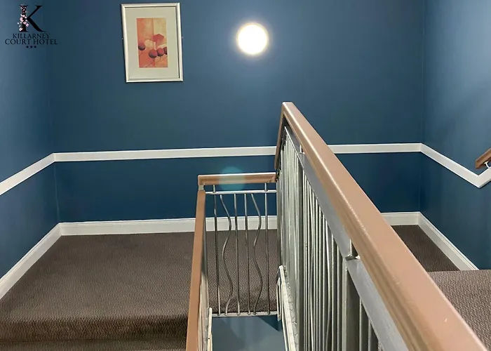 Court 3* キラーニー